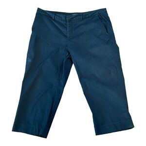 Banana Republic Women's Martin Capri Crop Pants Sz 8 Black Lightweight S…